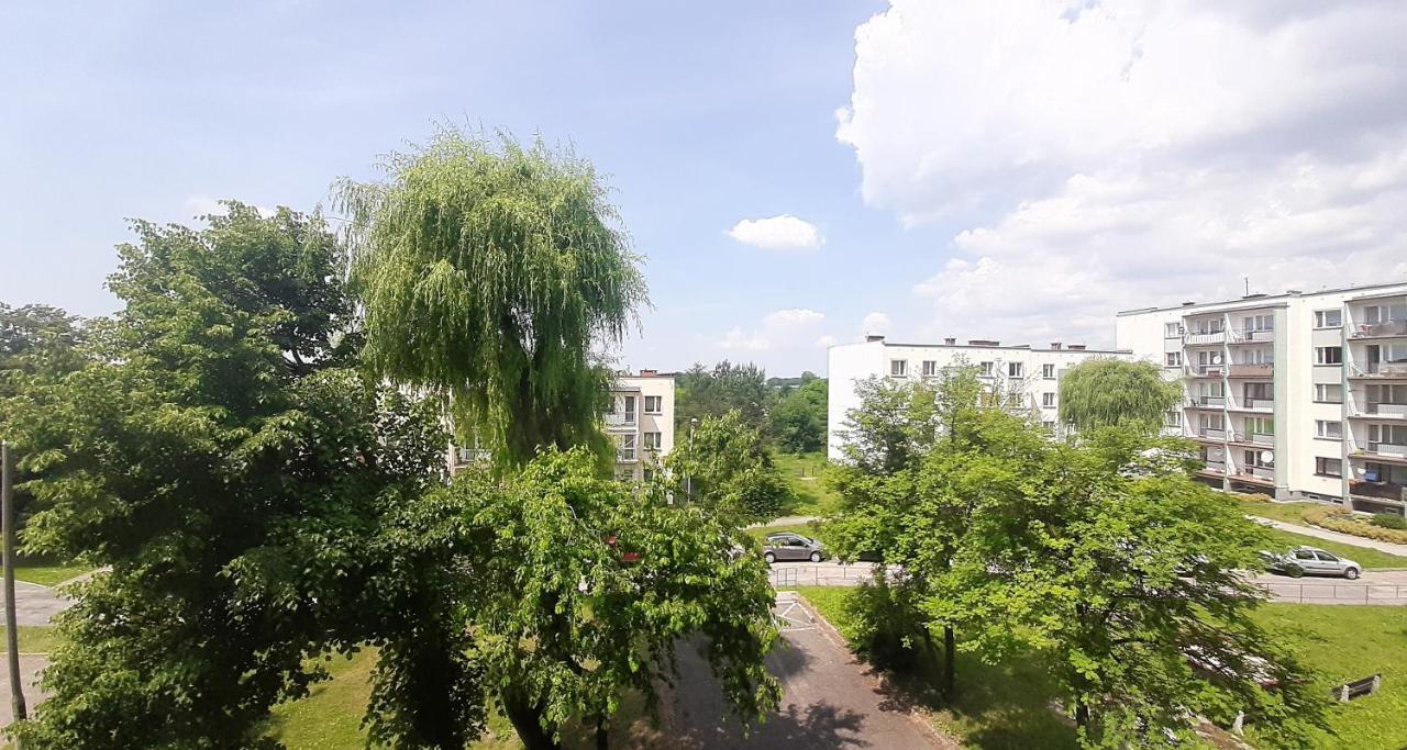 Bursztynowy Apartament Tarnowskie Góry Kültér fotó