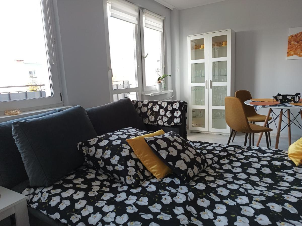 Bursztynowy Apartament Tarnowskie Góry Kültér fotó