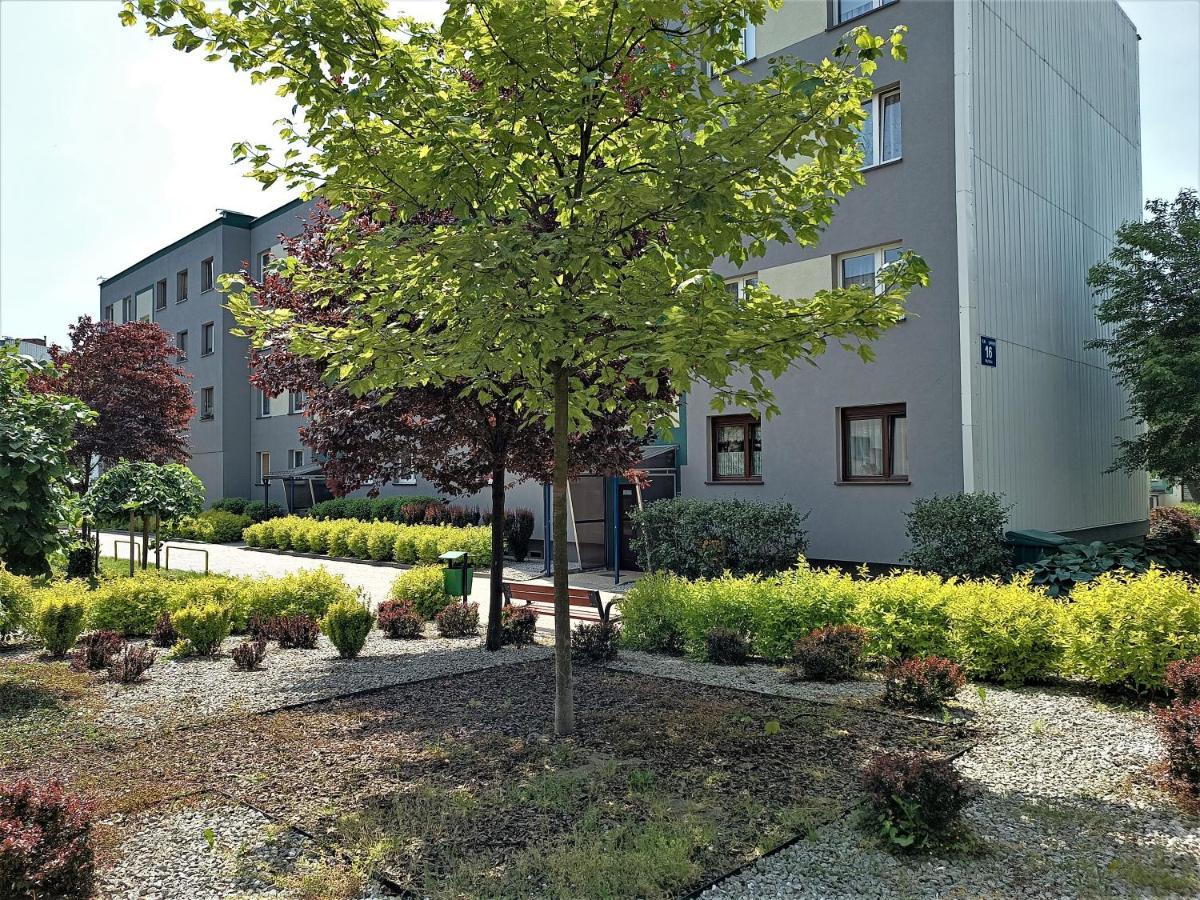 Bursztynowy Apartament Tarnowskie Góry Kültér fotó