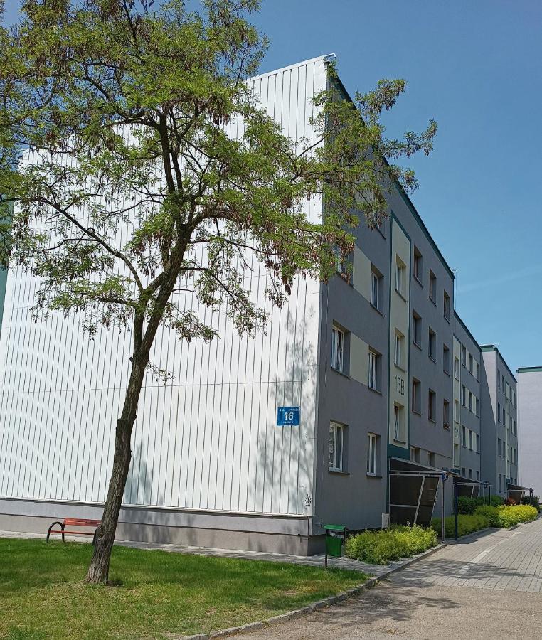 Bursztynowy Apartament Tarnowskie Góry Kültér fotó