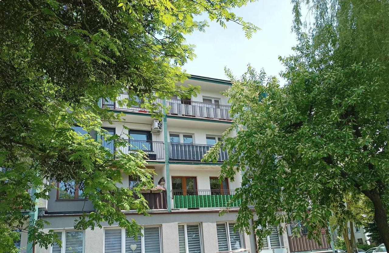 Bursztynowy Apartament Tarnowskie Góry Kültér fotó